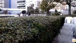 为什么外国人都喜欢拍毛片_网易视频